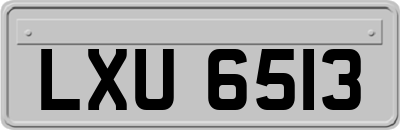 LXU6513