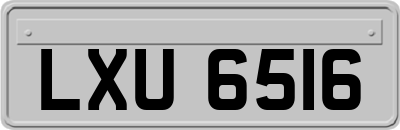 LXU6516