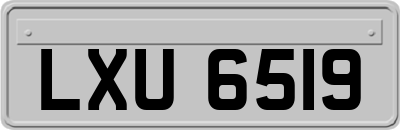 LXU6519