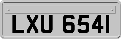 LXU6541