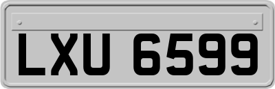 LXU6599