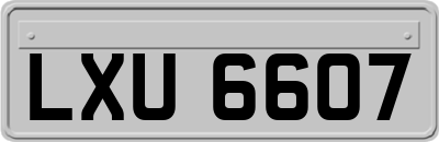 LXU6607