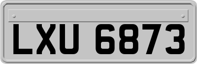 LXU6873