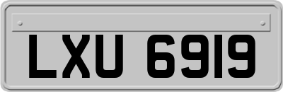 LXU6919