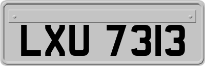 LXU7313