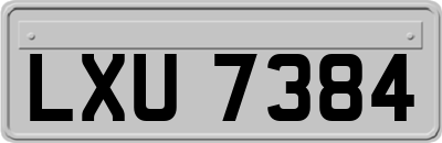 LXU7384