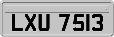 LXU7513