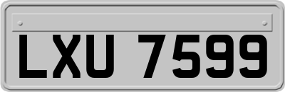 LXU7599