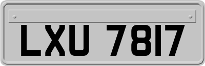 LXU7817