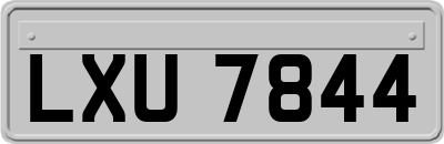 LXU7844