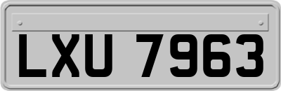 LXU7963