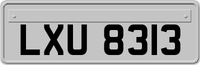LXU8313