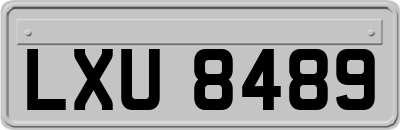 LXU8489