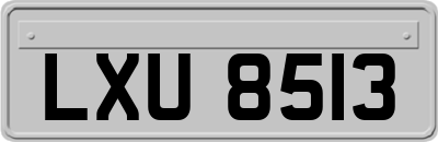 LXU8513
