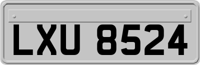 LXU8524