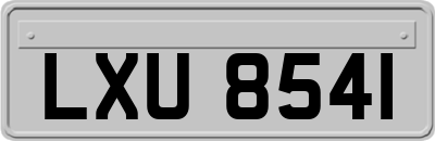 LXU8541