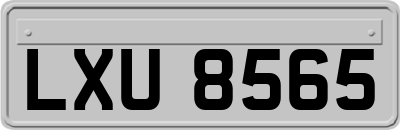 LXU8565