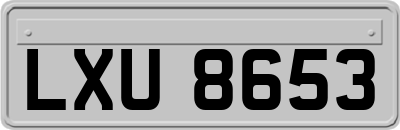 LXU8653