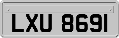 LXU8691