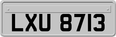 LXU8713