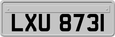 LXU8731