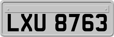 LXU8763