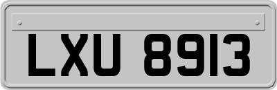 LXU8913