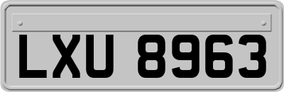 LXU8963