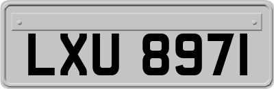 LXU8971