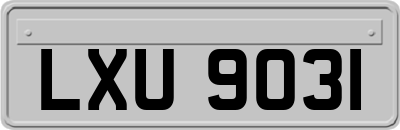 LXU9031