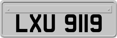 LXU9119