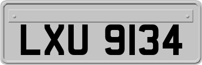 LXU9134