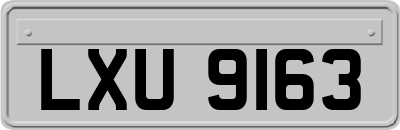 LXU9163