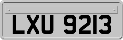 LXU9213