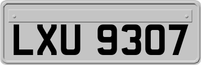 LXU9307