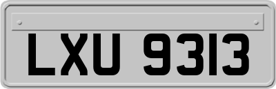 LXU9313