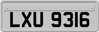 LXU9316