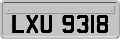 LXU9318