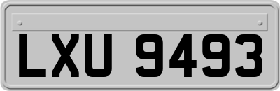 LXU9493