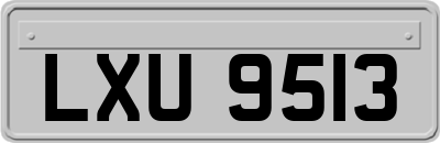 LXU9513