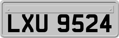 LXU9524