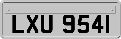 LXU9541