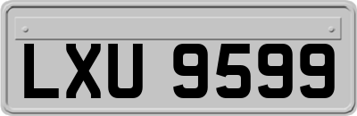 LXU9599