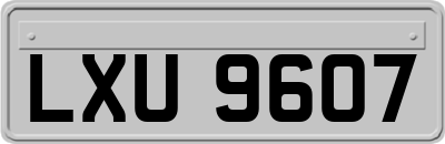 LXU9607