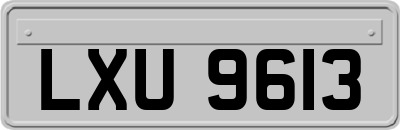LXU9613