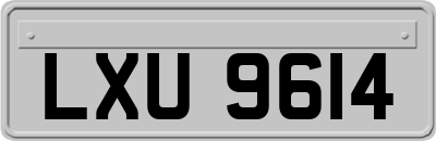 LXU9614