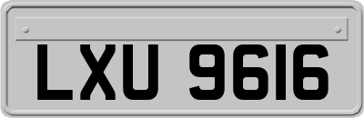 LXU9616