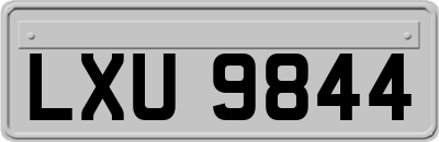 LXU9844