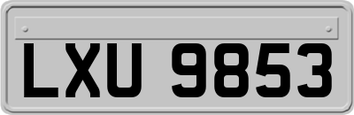 LXU9853
