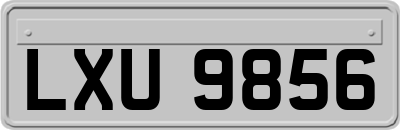 LXU9856
